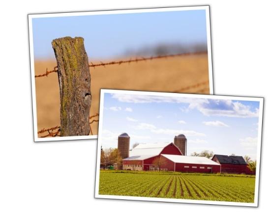 IOWA FARM LEASES: A LEGAL REVIEW By Kristine A. Tidgreni June 20, 2016 As of 2012, Iowa had 88,637 farms. ii Of those, 40 percent were farmed under a cash rent lease, and 7.