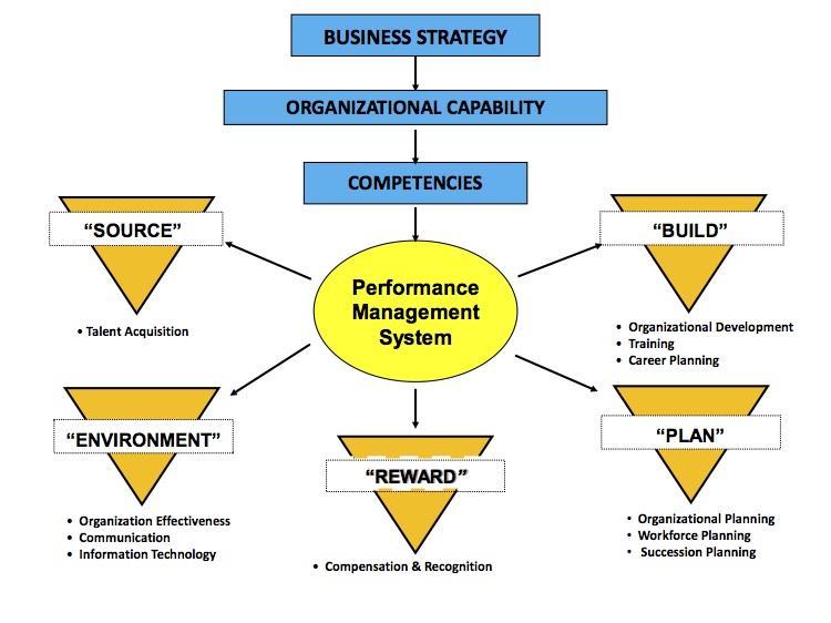 capabilities of teams and individual contributors. Performance management is a systematic process for improving organizational performance by developing the performance of individuals and teams.