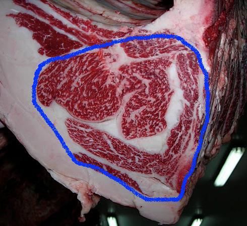 Marble or marbling: is evaluated at the "eye of the loin" between the 11 th and 12 th vertebrae and is visually compared with the Japanese scale (Beef Marbling Standards, BMS).