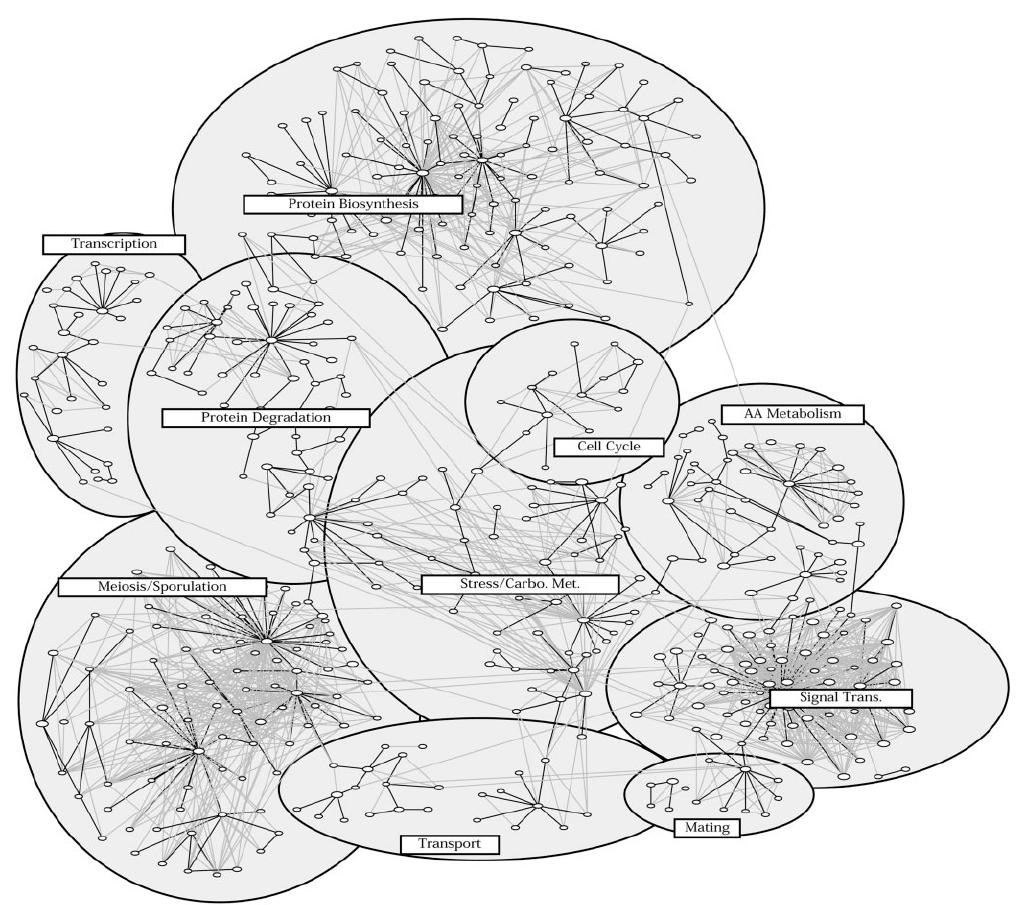 Modules in Yeast Molecular Network [Tanay et al.