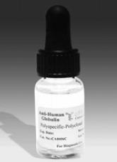 AHG REAGENT Anti human globulin is a balanced ready to use blend of highly purified immunoglobulins.