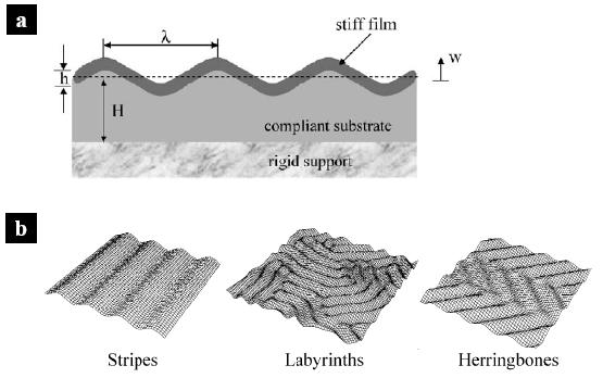 Where, h is the thickness of stiff layer, and E and E s correspond to the plane strain modulus of the stiff layer and the compliant substrate, respectively. Figure 6.