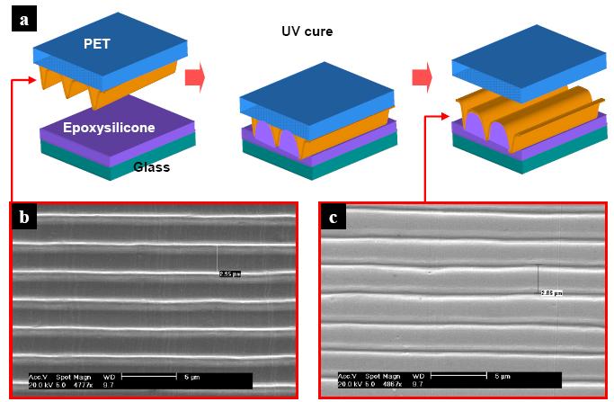 Figure 6.6 (a) Schematic of pattern transferring step after LDW using UV curable epoxysilicone as an adhesive layer (b) Initial LDW gold pattern on a fluoro-silane surface treated PET (from Figure 6.