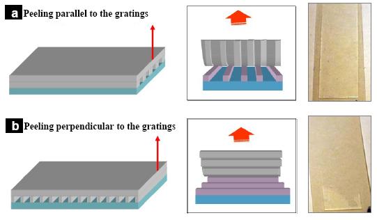Figure 3.6 Schematic of two different mold separation methods; (a) peeling parallel to the grating orientation and (b) peeling perpendicular to the grating orientation.