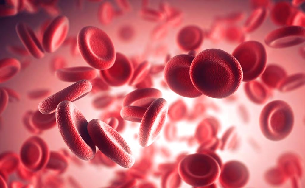 GENERAL INFORMATION Stop Lysing Red Blood Cells There is a Better Way with EasySep Lysing red blood cells (RBCs) to obtain leukocytes from blood samples can be time consuming, requires washing steps,