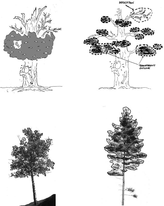 Transparency 15% for both trees Figure 12-