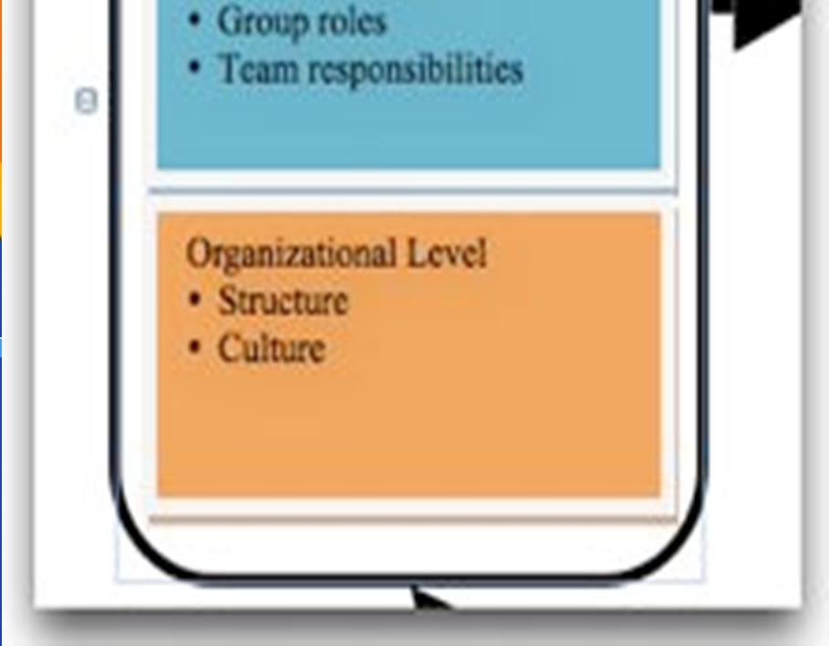 Group structure, roles, and team
