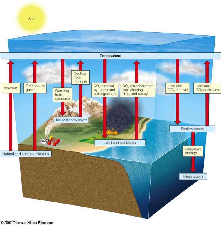 CGCM of the Earth s Climate Simplified model of major processes that interact to
