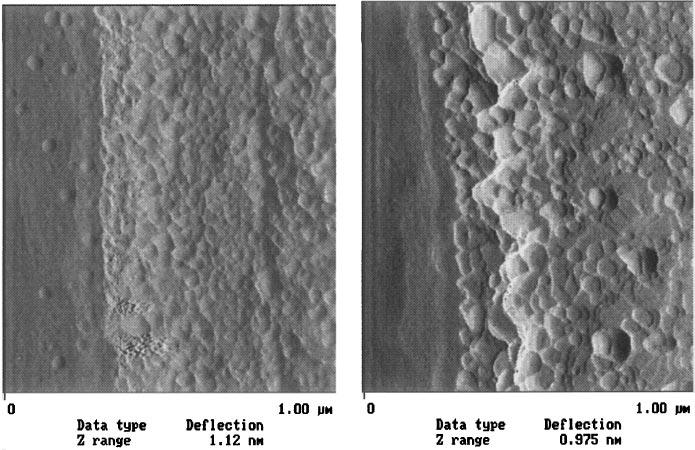 FIG. 6. AFM micrographs of a chemically cleaned ramp after a subsequent 50 ev Ar ion clean (left) and the same ramp after extra cleaning step and annealing (right). FIG. 7.