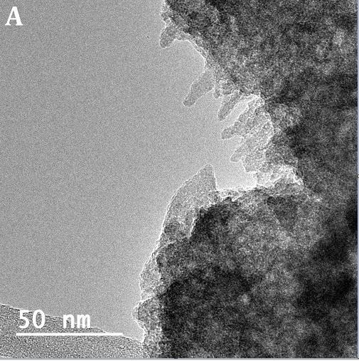 TEM images of R1(S3) indicate that the schwertmannite in this sample also consists of rounded aggregates that, at high resolution, are mixtures