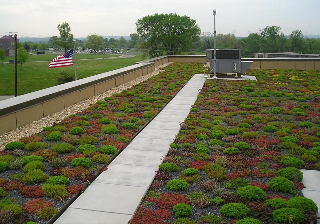 Green Roof Source Control