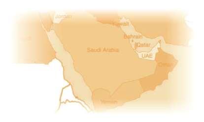 we work for UAE Saudi Arabia Qatar