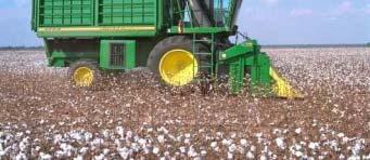 USDA Cotton Classification
