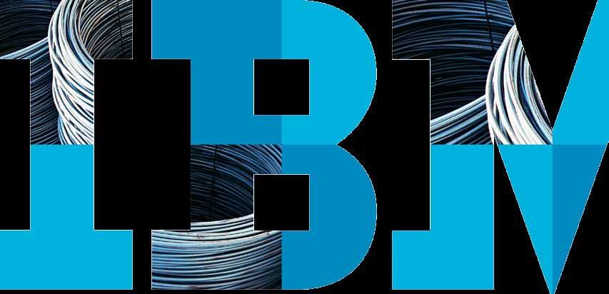 IBM Industry