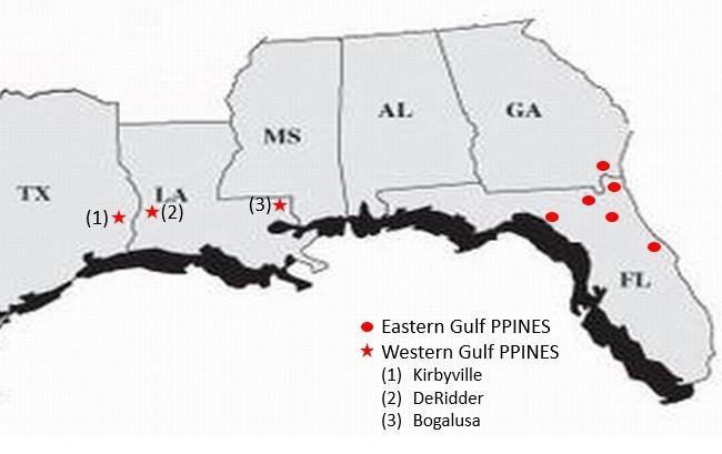 II.2 Methods II.2.1 Experimental Description The western series of the PPINES locations were established in eastern Texas and Louisiana on three sites: Kirbyville, Texas (30º 35' N, 93º 59' W);