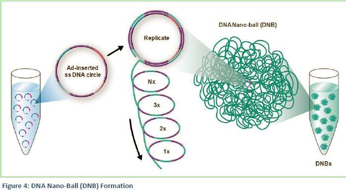 Complete Genomics Step2: Clonal DNA
