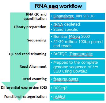 Metagenomic DNA/RNA Sequencing Bioinformatic analyses Culture independent shot gun sequencing What can we find?