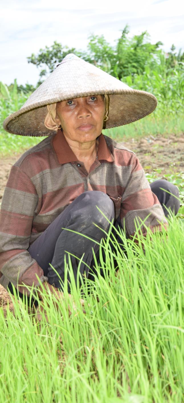 C onclusion Conceptually, Indonesia has embraced the green and sustainable agriculture The Green Agriculture aspiration in Indonesia is evolving The Indonesian government still focus on