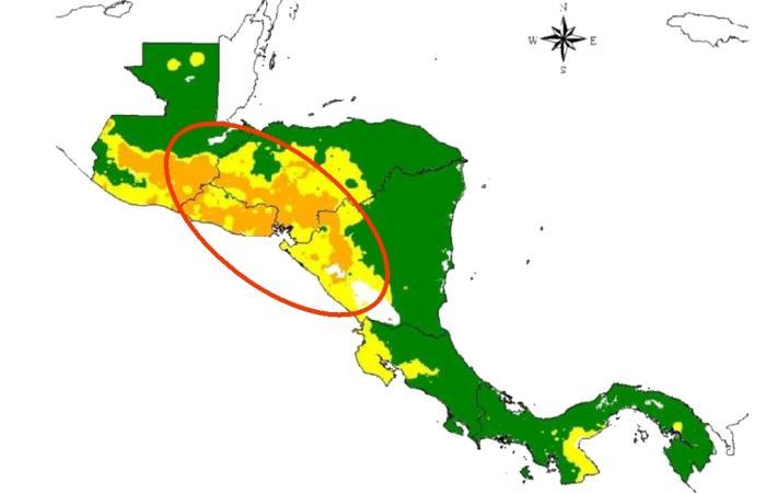 Forage research of CIAT and partners in Central- America and the Caribbean Goal Improve livelihoods of poor rural crop-livestock producers while contributing to eco-efficiency of production systems