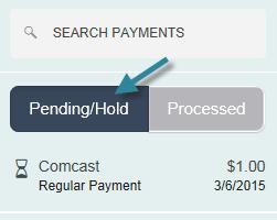 Click See Payment History, the payment history will appear to the right hand side under the Search Payments area. Tip: Click on the payment to view more information. V.