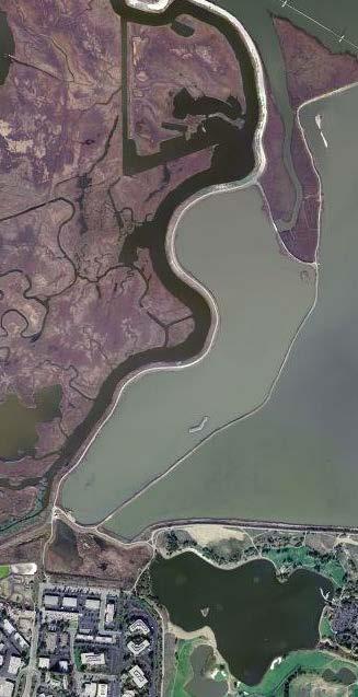Implementation Charleston Slough Tidal Marsh Restoration (City) Restoration Water Supply Flood Protection 1.