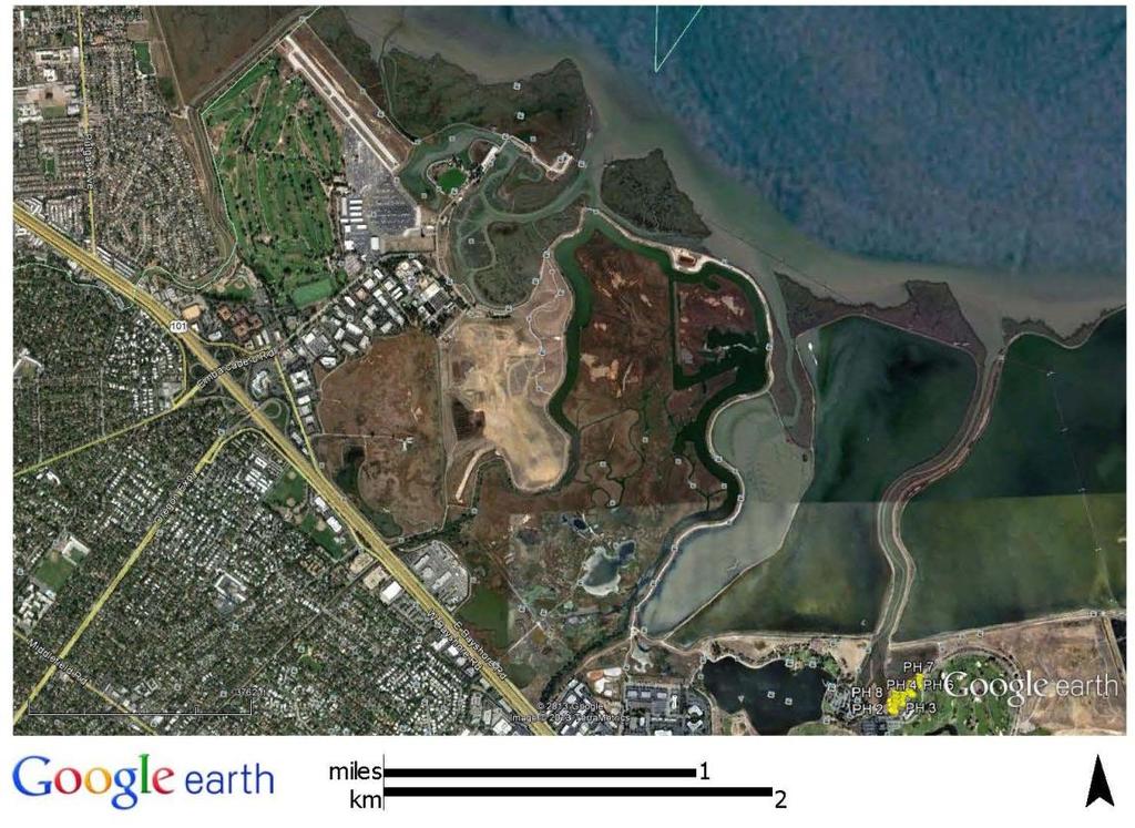 Shoreline Sea Level Rise Study Detail CIP Project Maps 1. Charleston Slough and Palo Alto Flood Basin Levee (approx.