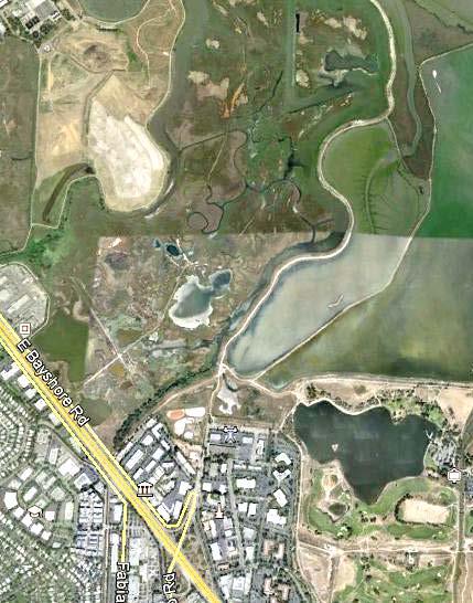 North Bayshore Area Watershed Management Objectives Tidal marsh and wetland management Charleston Slough City Management Objectives Compliance with BCDC tidal