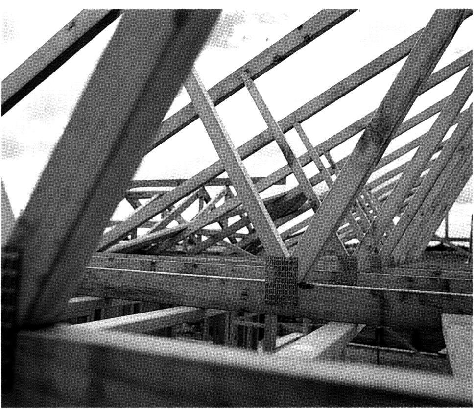 Introduction History of GANG-NAIL Trusses The GANG-NAIL Timber Connector System was introduced into New Zealand in the 1960 s.
