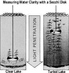 Secchi Disk: Used to estimate the transparency of seawater,
