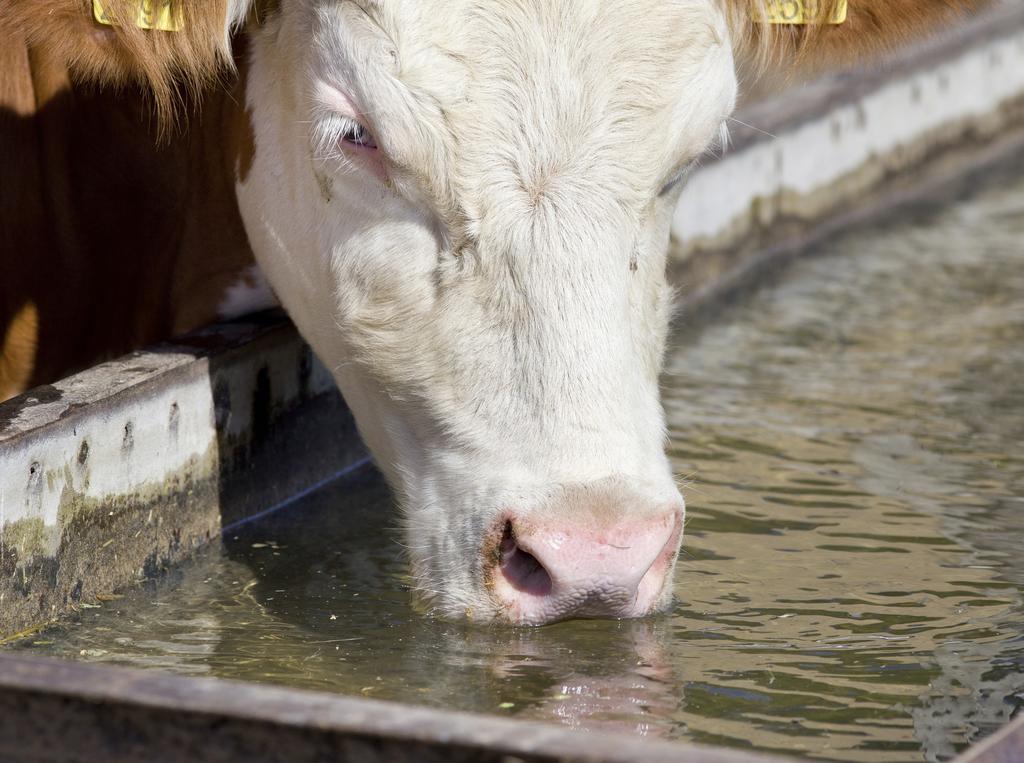 How to Collect Your Water Sample and Interpret the Results for the Livestock Analytical Package Bradley J. Austin, Dirk Philipp, Mike Daniels, and Brian E.