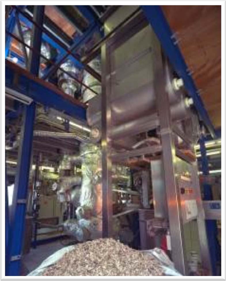 0.5 MW CFB GASIFIER at ECN Air blown CFB technology, later also operated on oxygen/steam Licensed to HoSt in 2002