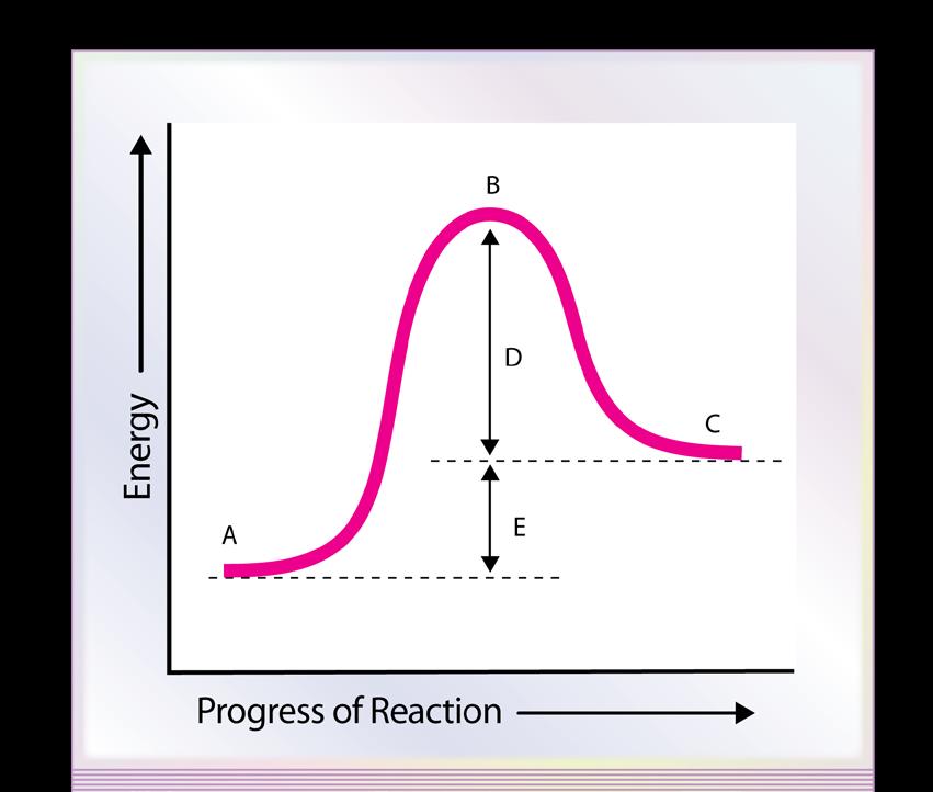 Activation Energy Continues Conversely, in the graph below, the products have more free energy than the reactants. Reactions that absorb heat from the environment are known as endothermic reactions.