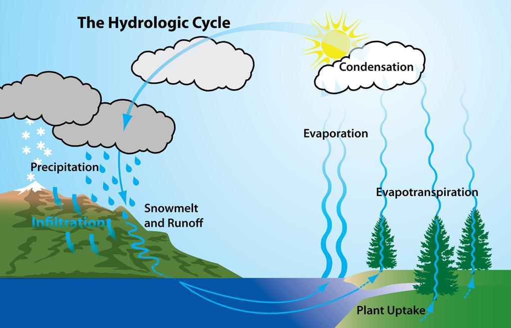 Cycles of Matter The Water Cycle On land, some precipitation flows along the surface in what scientists call runoff, until it enters a river or stream that carries it to an ocean or lake.