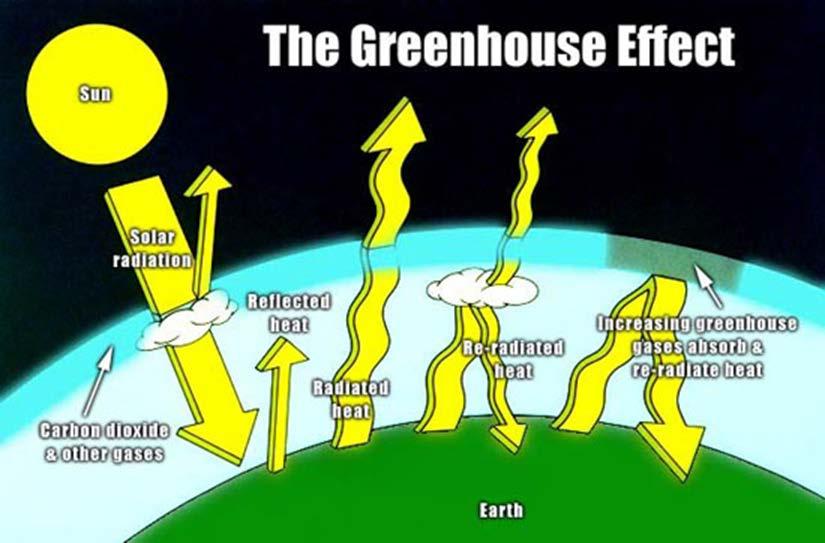 Cycles of Matter Solar Energy and the Greenhouse Effect Some of the heat also radiates back into space, and some is trapped in