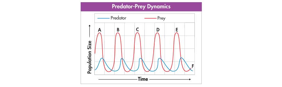 Niches and Community Interactions Predator-Prey Relationships This graph shows