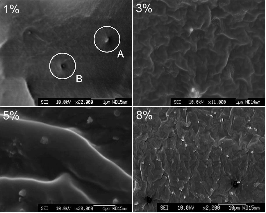 Higher magnification images, shown in figure 3, show the presence of nano-particles on the fracture planes.