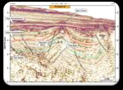 develop minerals 3D Seismic Evaluation Onshore Gulf Coast Evaluate extensive seismic library that has been developed