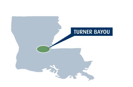 Turner Bayou Proprietary 3D survey containing numerous shallow Frio anomalies and deeper objectives 80 square miles