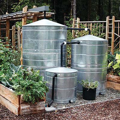 Cisterns collect and temporarily store runoff from rooftops for later use as irrigation and/or other non-potable uses.