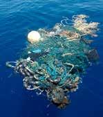 Resource Depletion Ocean Ecosystem Impacts Ocean