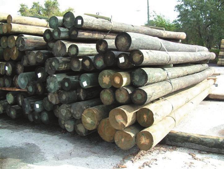growth, stored for decades while the product is in use, and can be used for beneficial energy recovery at disposition.