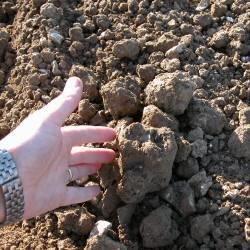 Leveling ruts in moist soil