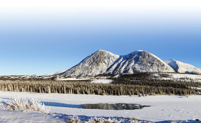 1. Removing mercury an innovative solution for remote locations For many years, Environment Canada and INAC funded the operation of Yukon stations that