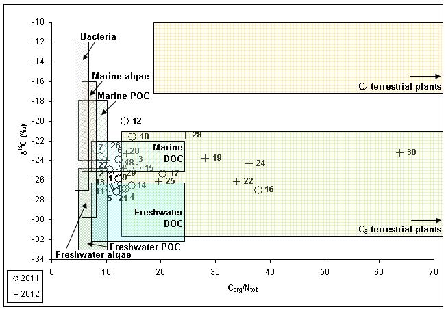 values indicates a mixed source between freshwater Dissolved Organic Carbon (DOC) and C3 plants (i.e. those organisms, including also rice, that fix CO 2 producing a molecule with three carbon atoms).