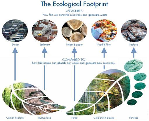 Ecological Footprint model Developed by Mathis Wackernagel at the University of British Columbia They called the concept appropriated carrying capacity, which was later on termed