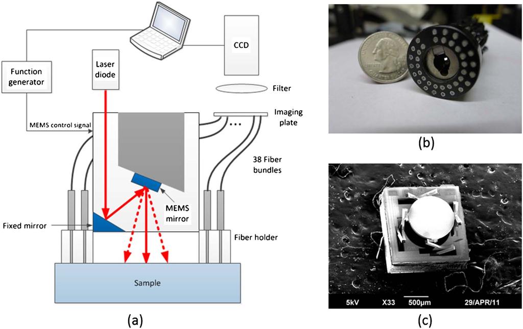 Fig. 1. (Color online) (a) Schematic of the MEMS-based FMT system, (b) photograph of the imaging probe, and (c) scanning electron microscopic (SEM) image of the MEMS mirror.