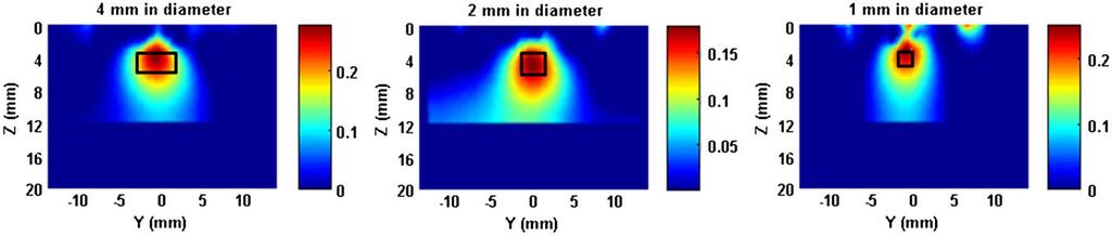 (Color online) FMT images for a single target having different ICG concentrations.