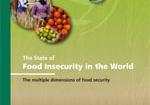 availability, economic and physical access to food,