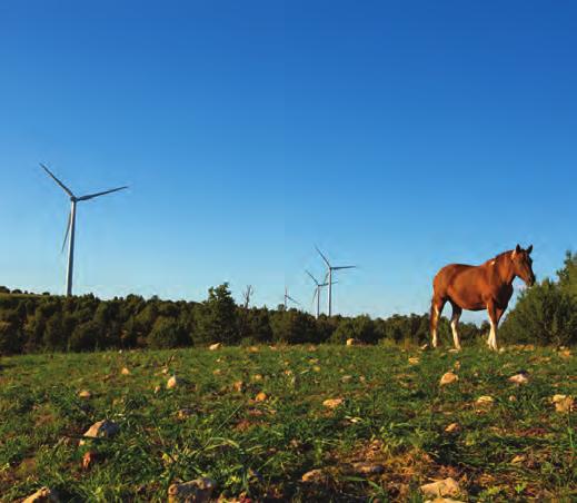 NextEra Energy Resources Wind Portfolio As of 1/1/17 NextEra Energy Resources Wind Facilities: Operating U.S.