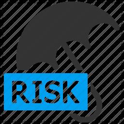 Definition Risk Probability or threat of damage, injury, liability, loss,